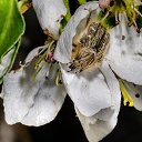  ,  -  2  2020     2020