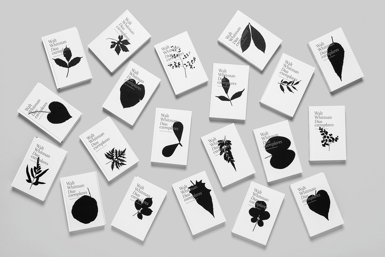    Dias exemplares (Specimen Days).      ... - 4