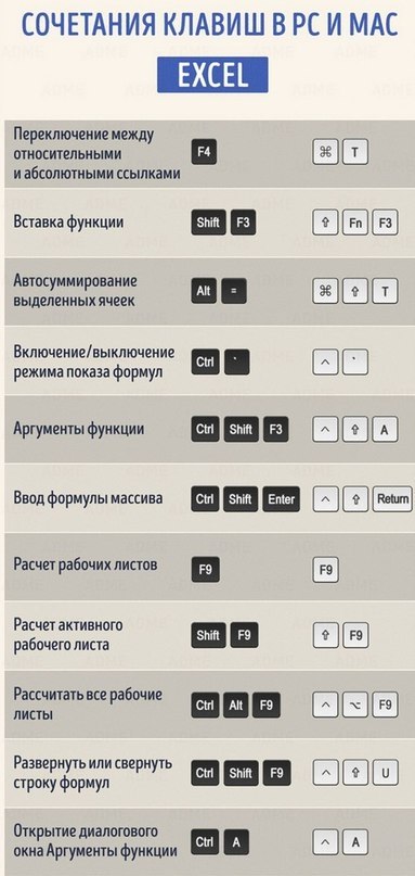7     MS Office - 7