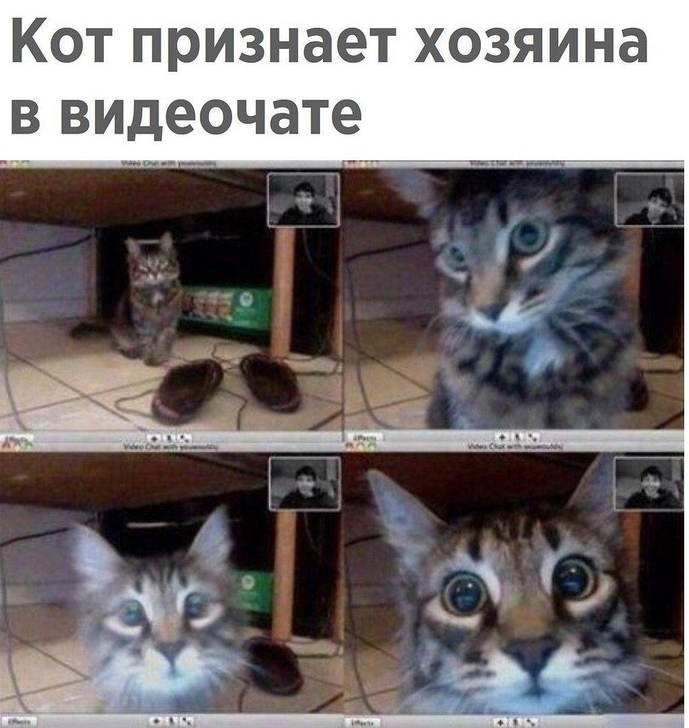  ,    :