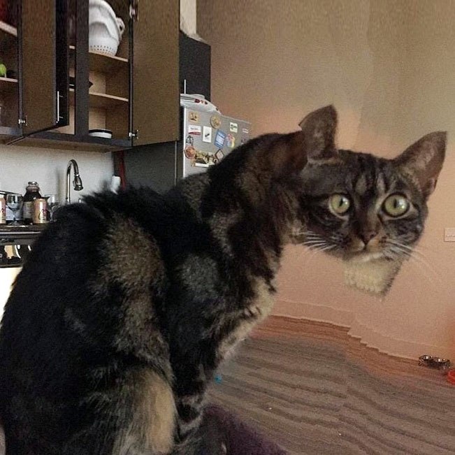        :