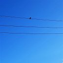  , , 52  -  22  2020    