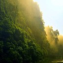 ���� �������, �����, 37 ��� - ��������� 8 ������ 2020