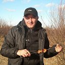 ���� �����, ����, 41 ��� - ��������� 14 ����� 2020 � ������ ���� ����������