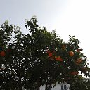  Konstantin, -, 61  -  12  2020    