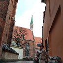  , , 48  -  11  2020    