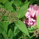  ,  -  14  2020    14.06.20.