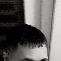 , , 29 