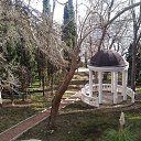 ,.,02.02.20.13.15.    2020