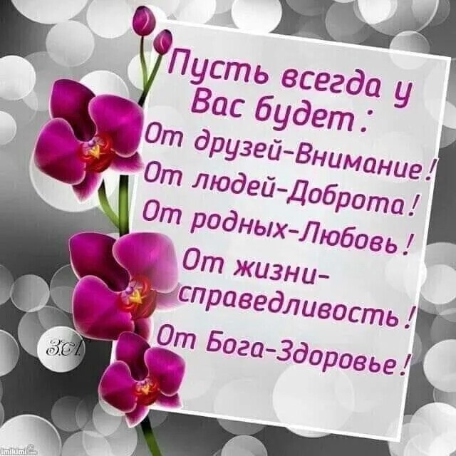  ,    . - 29  2020  08:46