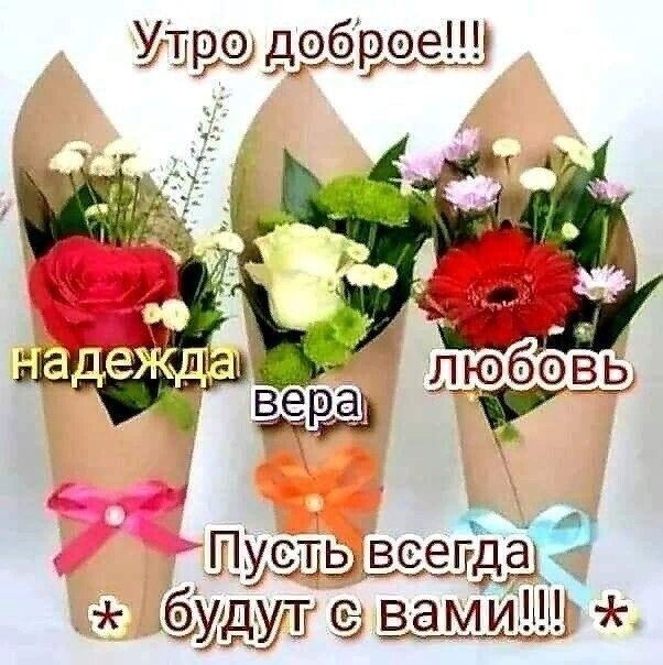   ,    . - 21  2020  20:37 - 2