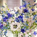 ���� Xxx, ������ - ��������� 30 ����� 2020 � ������ ���� ����������