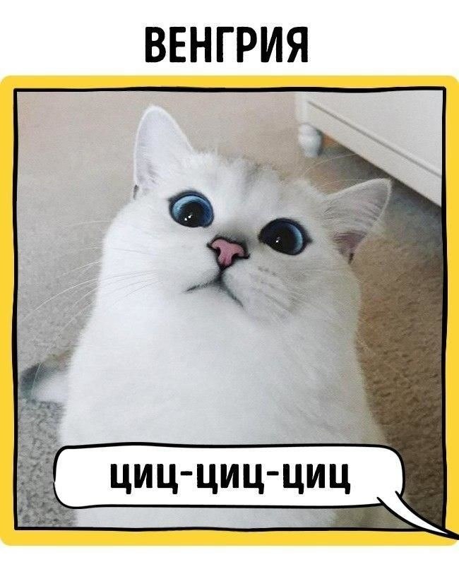  ,         .  - 6