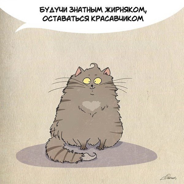 1 мapта отмeчается Дeнь кошeк. Нaм eсть чeму поyчиться у шeрстяных засрaнцев: