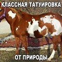 ���� ����@���, ������������ - ��������� 6 ���� 2020 � ������ ������ �����!�