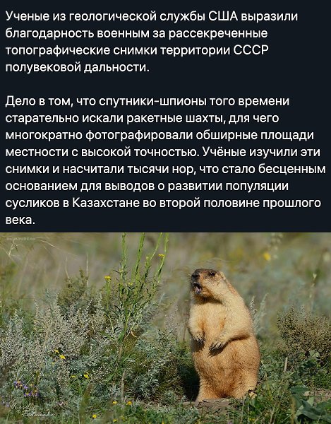    - 25  2020  18:54