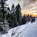 ���� �����, ������, 29 ��� - ��������� 19 ����� 2020 � ������ �Zakopane. Poland�