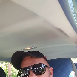 ˸��, �����, 49 ���