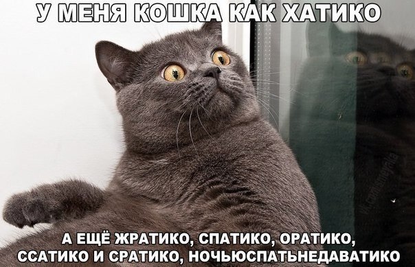    - 22  2020  19:06