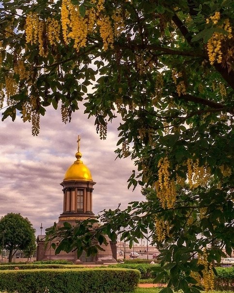  https://fotostrana.ru/away?to=/sl/5X44