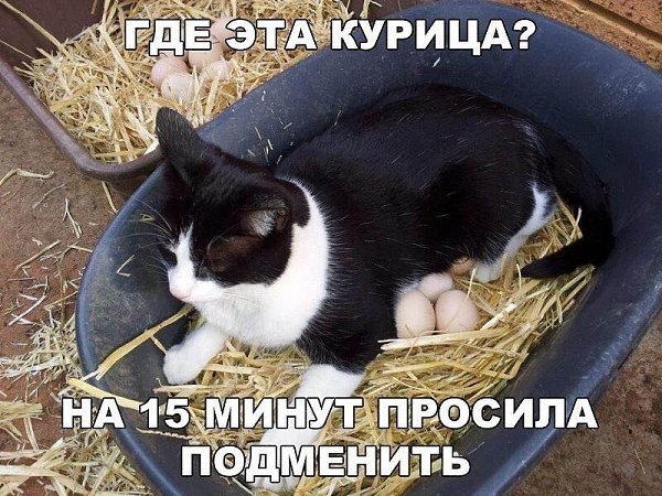 ������� - 11 ��� 2020 � 08:21