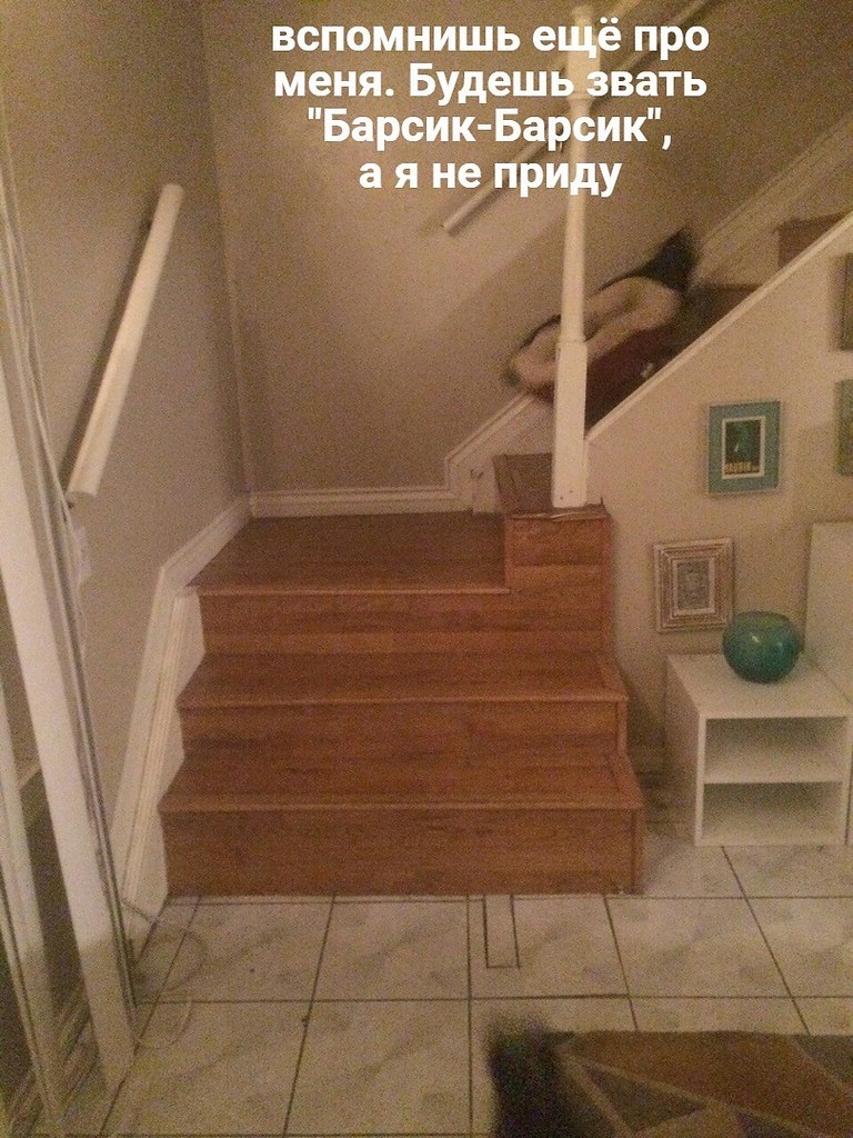      - 3