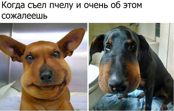 ������� - 10 ������ 2020 � 19:13