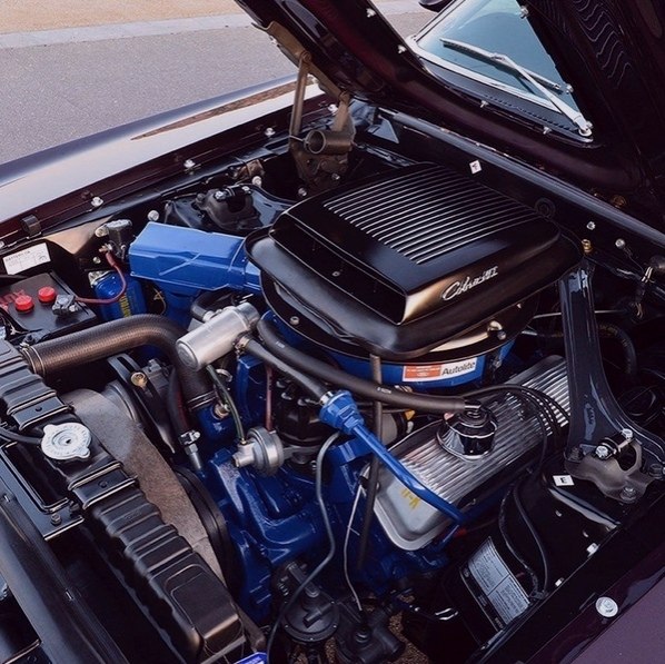1969 Ford Mustang Mach1 428 SCJ - 4