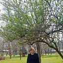 ���� �����, ���������, 68 ��� - ��������� 16 ����� 2020 � ������ ���� ����������