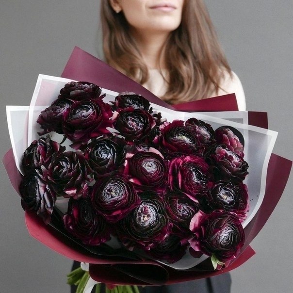    https://fotostrana.ru/away?to=/sl/fCQ2 lacy_bird