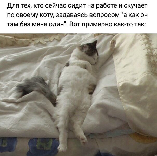   - 9  2020  19:04