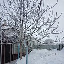 ���� ��������, �����������, 67 ��� - ��������� 14 ����� 2020 � ������ ���������� ������