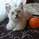 ���� ����, ������ �����, 70 ��� - ��������� 9 ������� 2020 � ������ ���� ����������