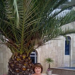 �����, ����, 50 ���