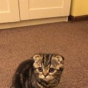 ���� �����, ������ ��������, 65 ��� - ��������� 7 ���� 2020 � ������ ������ ��������