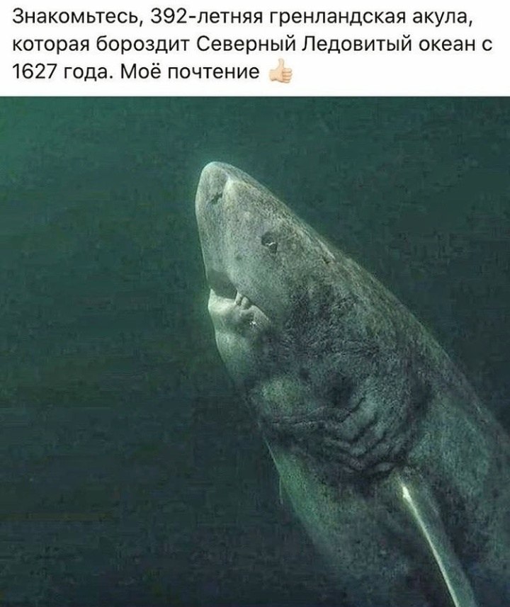 LIFE -  - 8  2020  19:06