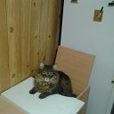 ���� ������, �����, 59 ��� - ��������� 15 ������ 2020 � ������ ���� ����������