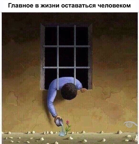 BEST | , ,  - 19  2020  19:04