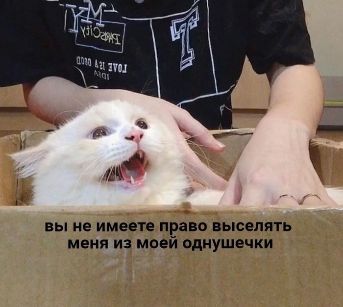    ,     - 2