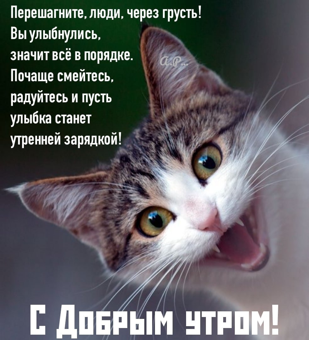  - 10  2020  07:03