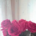 ���� �����, ����, 48 ��� - ��������� 1 ������ 2020 � ������ ���� ����������