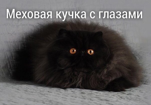    - 22  2020  19:06