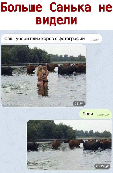 ������ - 11 ���� 2020 � 21:05