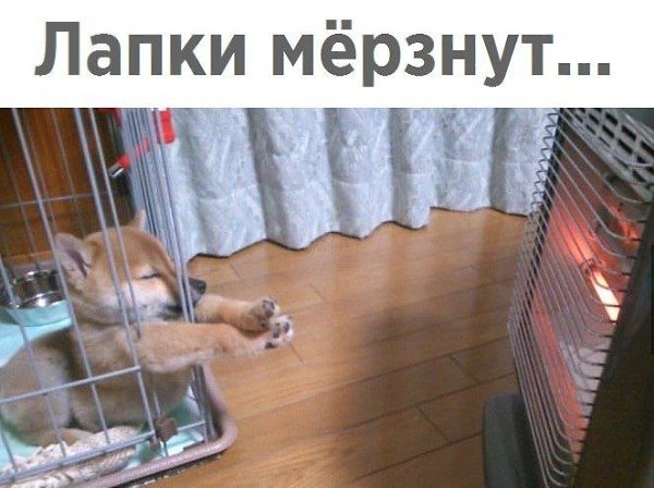 ������� - 16 ������� 2020 � 19:41