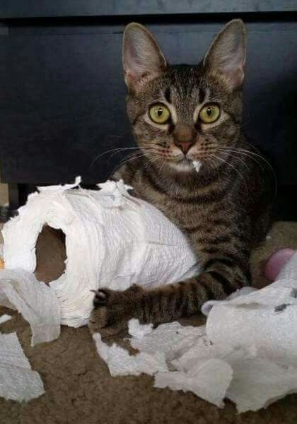   )