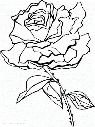 Шаблоны - 6