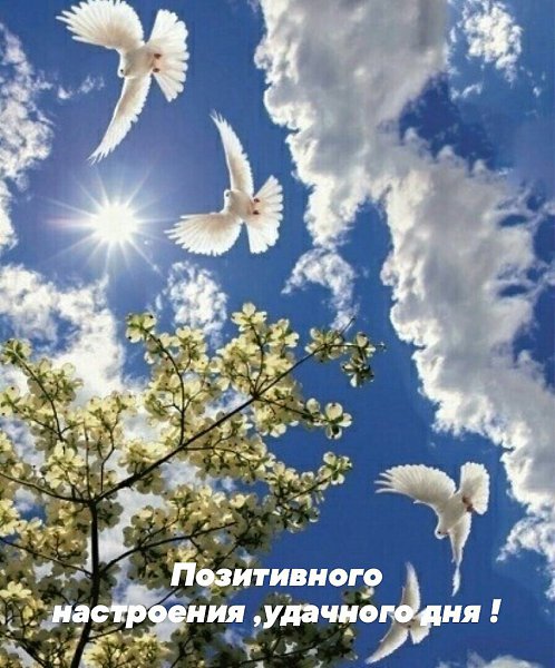   ,    . - 23  2020  14:17 - 2