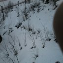  ,   -  24  2020    