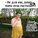 ���� ������ �����, ������, 52 ���� - ��������� 18 ������ 2020 � ������ ������ ��������