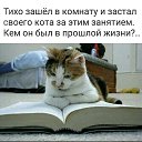 ���� Alex, ������-��-���� - ��������� 19 ������ 2020 � ������ ���� ����������